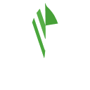 Mongodb