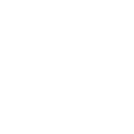 python python